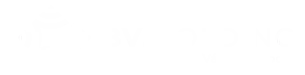 BV.HOLDING