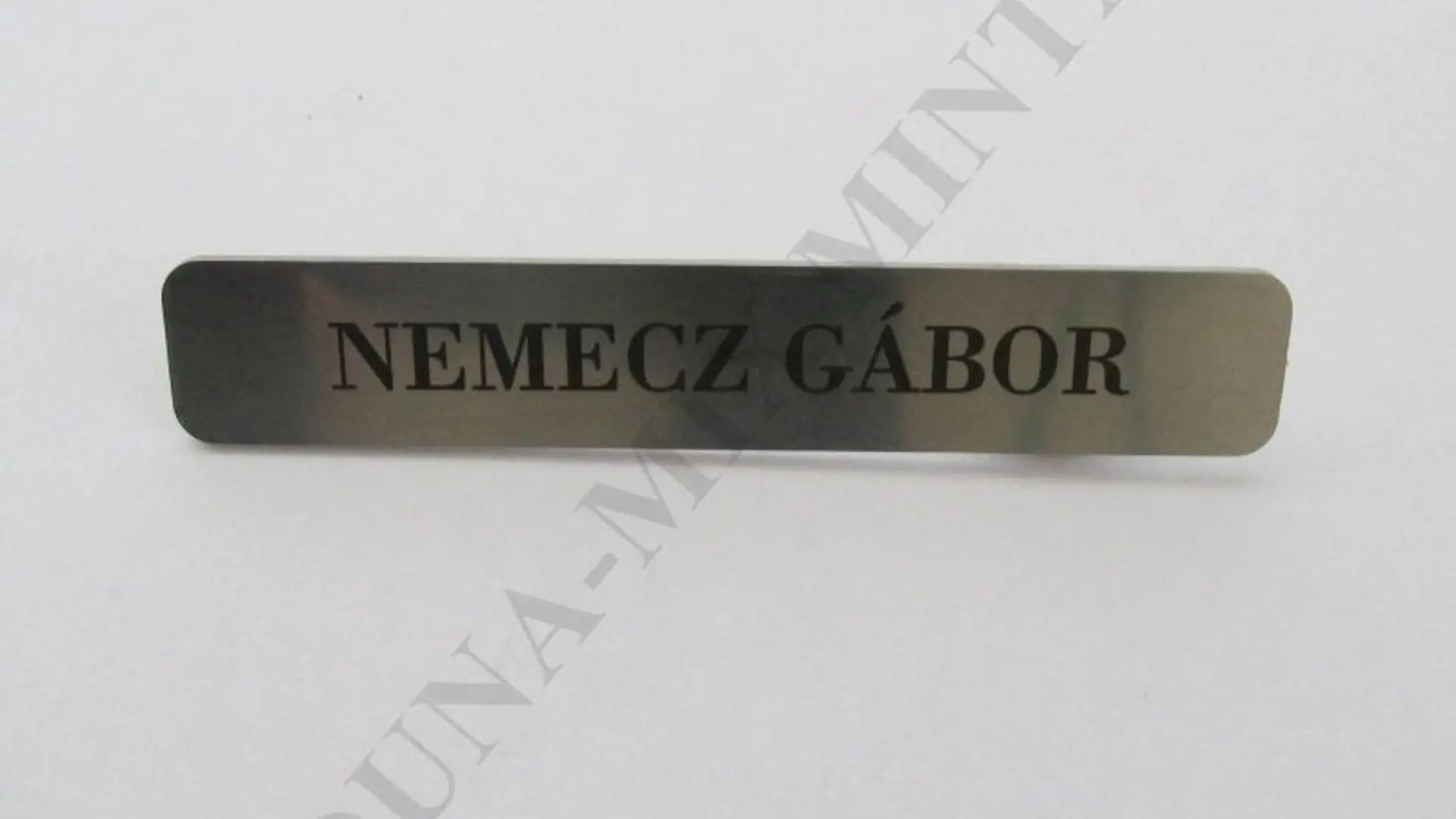 Rendőrségi Névkitűző (Fém)