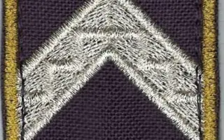 Büntetés-végrehajtási karlap - Zászlós (12M) 1