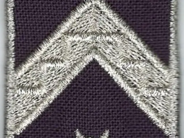 Büntetés-végrehajtási váll-lap - Főtörzs-őrmester (12M)