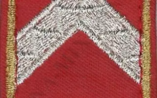 Katasztrófavédelem karlap - Törzszászlós (12M) 1