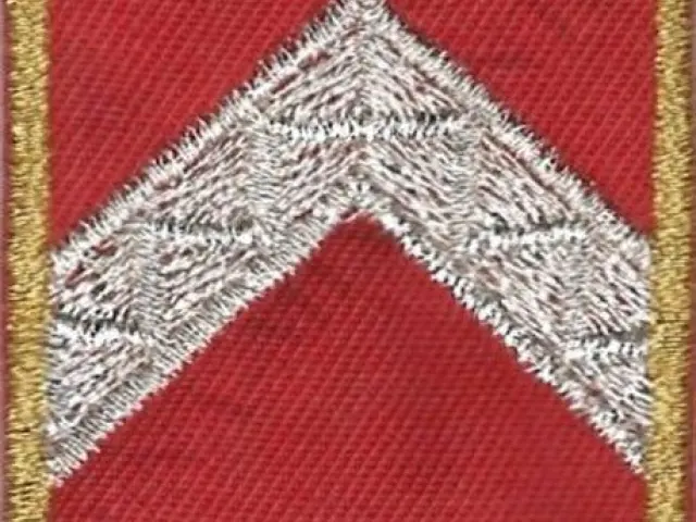 Katasztrófavédelem váll-lap - Zászlós (12M)