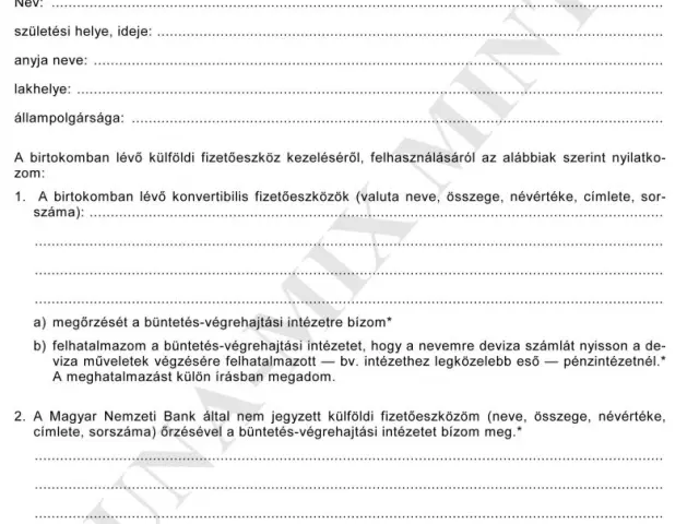 7. sz. függ. Nyilatk. a külf. fizetőeszk. kezel.-ről. felhaszn.-ról