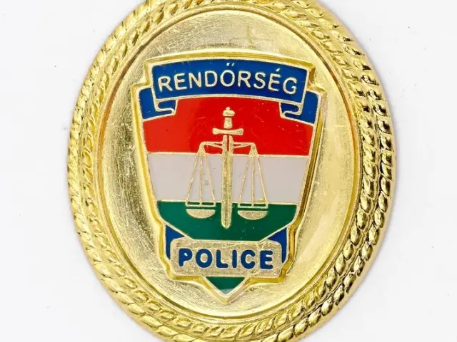 Szolgálati sapkajelvény, (ellipszis) arany [R]
